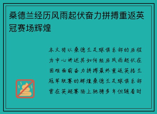 桑德兰经历风雨起伏奋力拼搏重返英冠赛场辉煌
